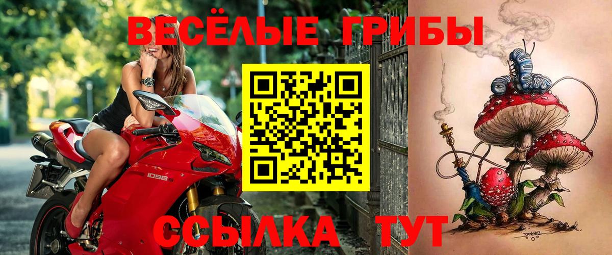 Галлюциногенные грибы мухоморы Новокубанск