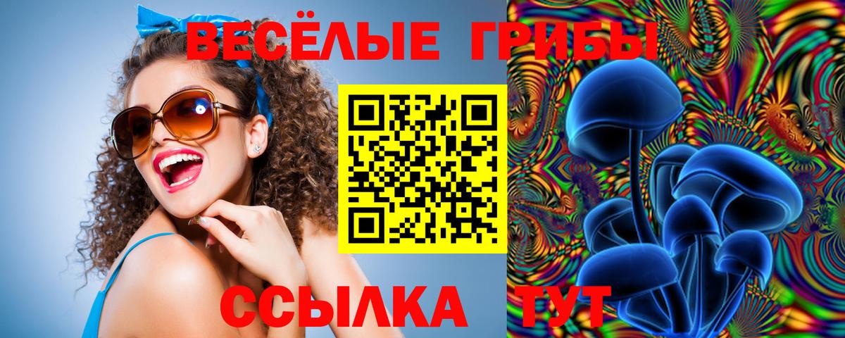 Галлюциногенные грибы мицелий  Вход с VPN  Новокубанск 